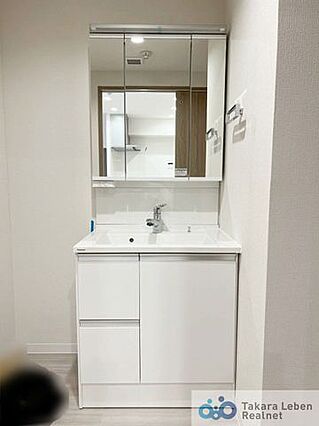 鏡裏にも収納可...