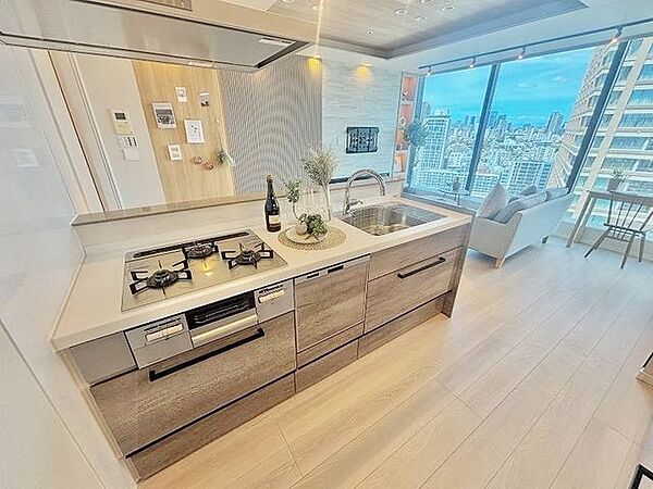 リビングを見渡せる対面式システムキッチン。家事の手間が省ける食器洗浄機付きです。