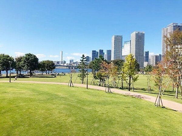 豊洲公園 徒歩18分。 1370m