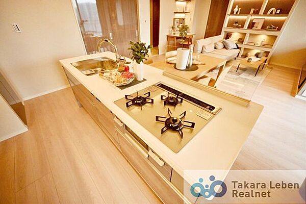 スムーズに無駄なく作業でき、お手入れも簡単な毎日を楽しくするアイランドキッチンです。