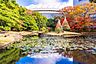 周辺：小石川後楽園 徒歩14分。 1100m