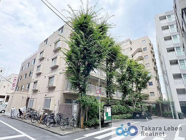 外観：313004750615
