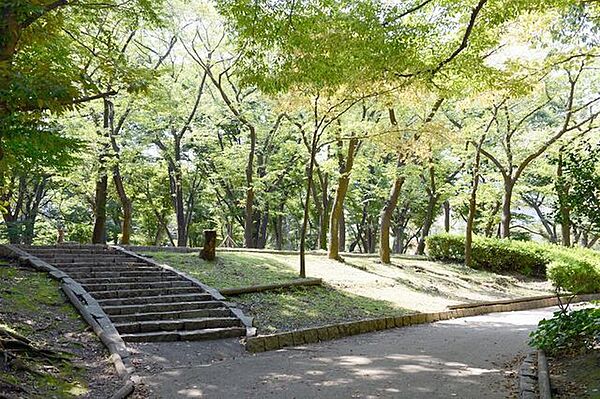 希望丘公園 徒歩12分。 940m
