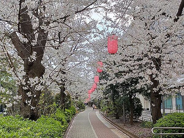 亀戸緑道公園 徒歩3分。 230m
