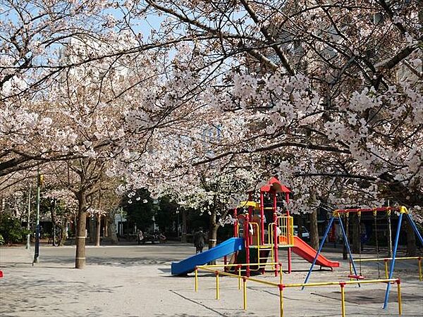中央区立桜川公園 徒歩5分。 330m