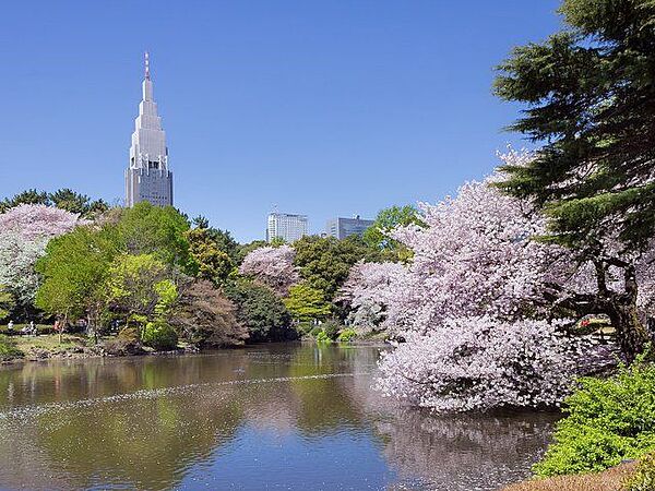 新宿御苑 徒歩12分。 920m
