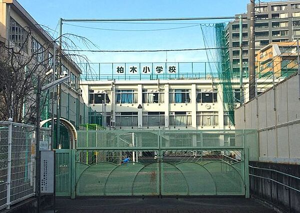新宿区立柏木小学校 徒歩10分。 800m