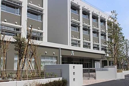 世田谷区立世田谷中学校 徒歩11分。 850m