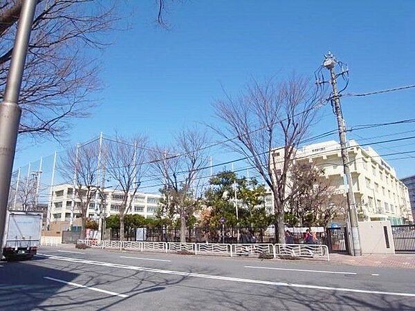 江東区立越中島小学校 徒歩1分。 60m