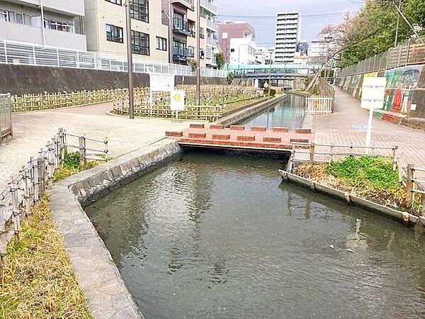 古石場川親水公園 徒歩5分。 340m