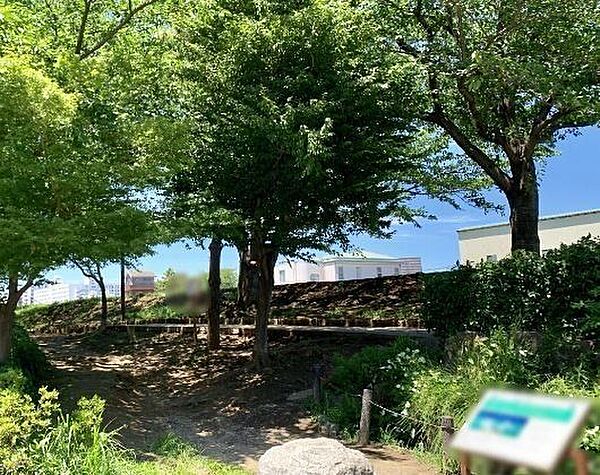 亀戸九丁目緑道公園 徒歩18分。 1440m