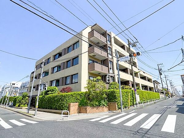 外観：313004868120