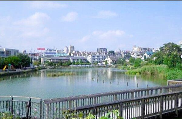 小池公園 徒歩15分。 1160m
