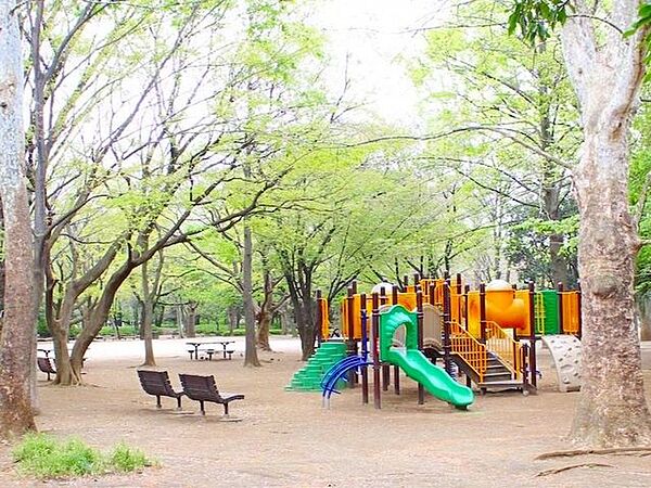 井草森公園 徒歩12分。 920m
