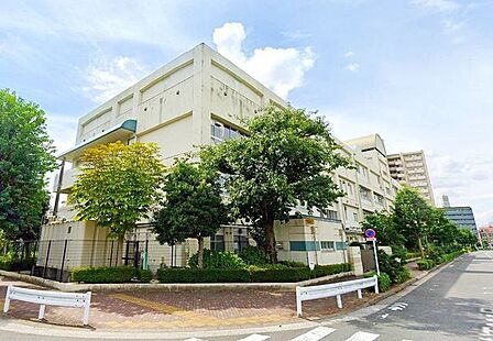 江東区立第三大島小学校 徒歩4分。 290m