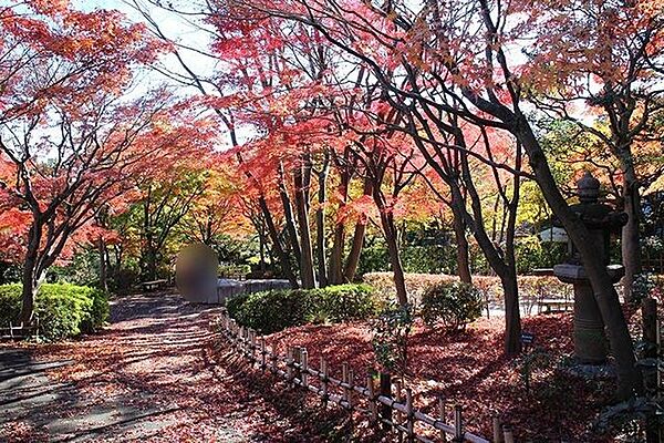池田山公園 徒歩12分。 890m