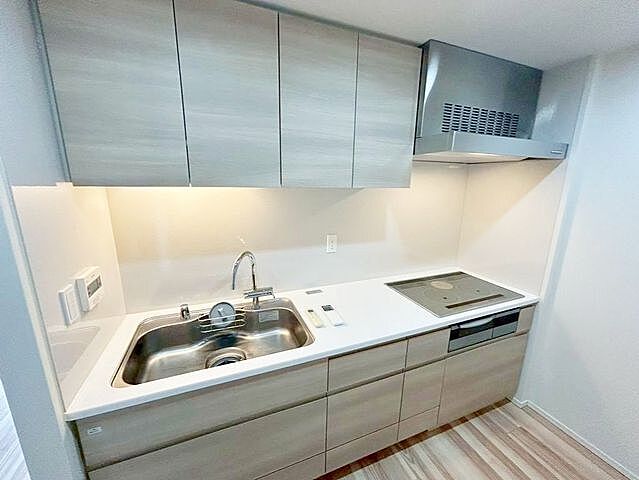 キッチン ザ・パークハウス晴海タワーズティアロレジデンス 26階/-