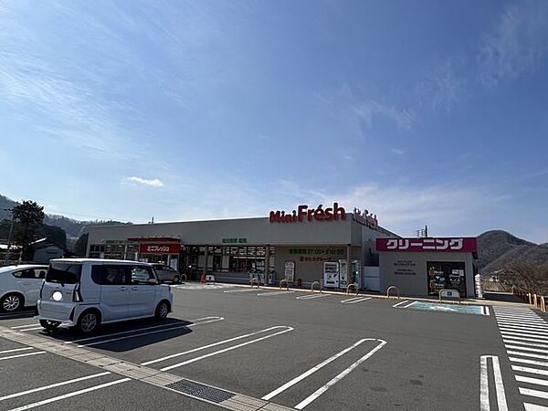 ミニフレッシュ 三和店 4700m