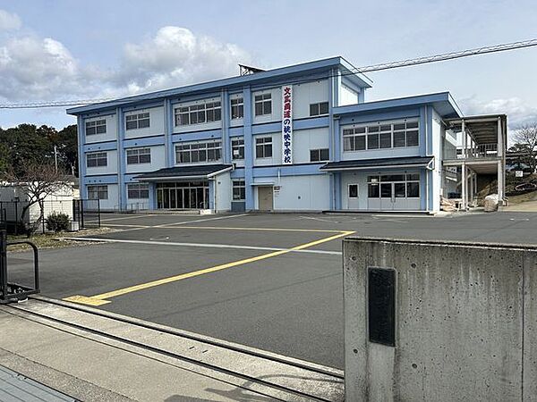 桃映中学校 600m