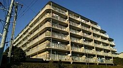 ハイラーク浦和参番館