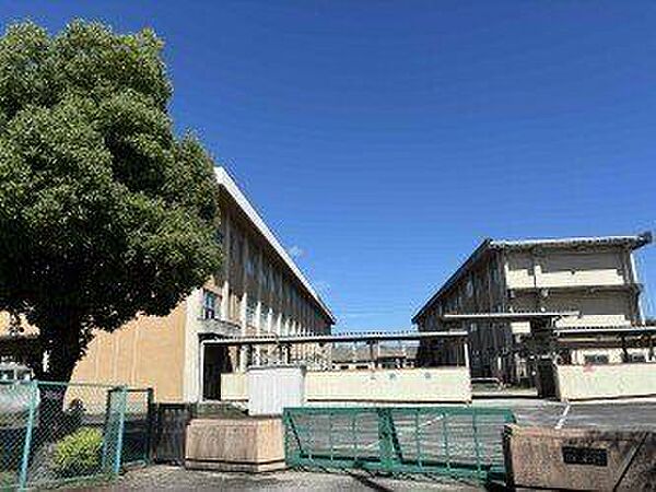 桜台小学校 610m