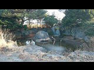 庭に池有り