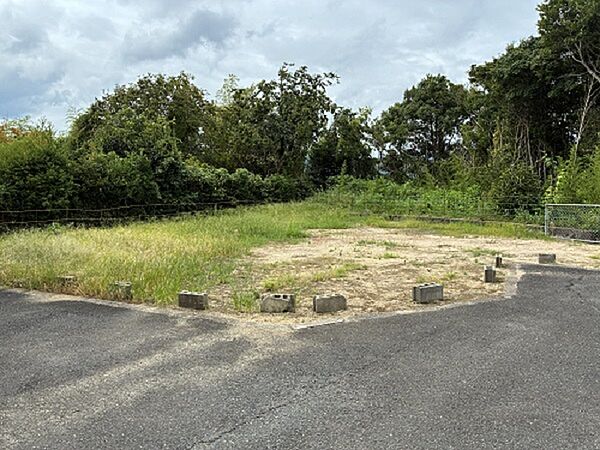 外観：335000029894