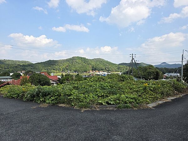 外観：335000031084