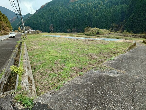 外観：328000568452