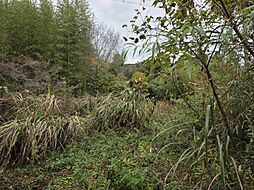 山口県長門市油谷蔵小田422-1、2、3、10230、471…