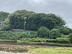 長崎県諫早市下大渡野町2487