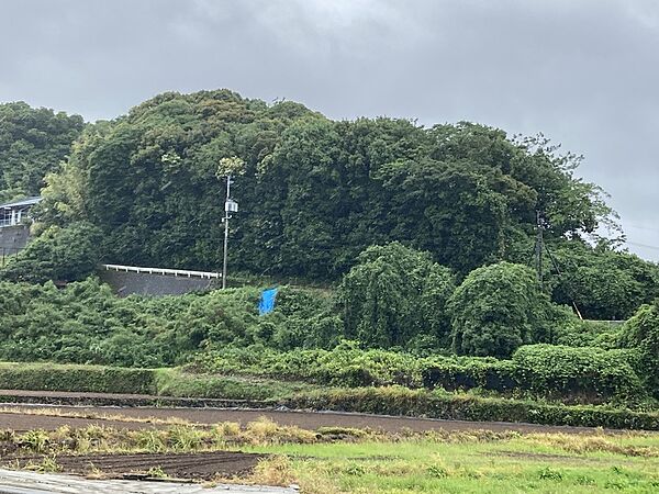 外観：342000015708