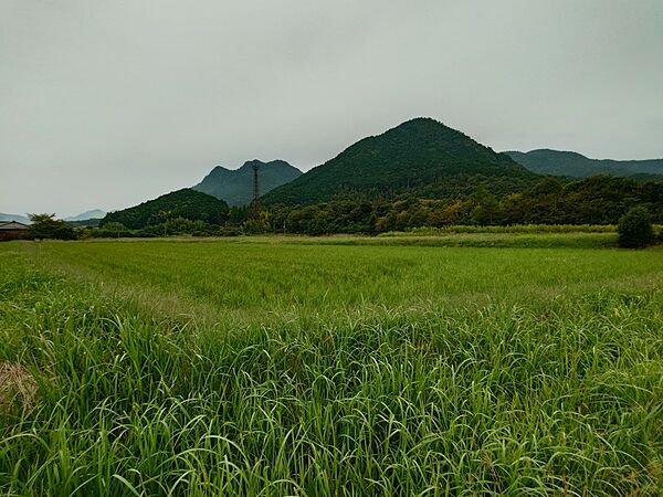 外観：328000579158