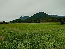 兵庫県丹波市春日町国領777-1