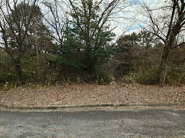 外観：328000597283