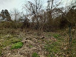 京都府船井郡京丹波町蒲生蒲生野22-12