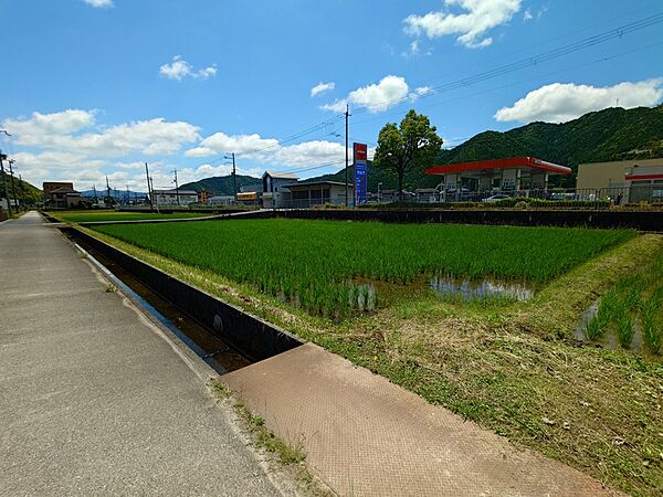 外観：328000651859