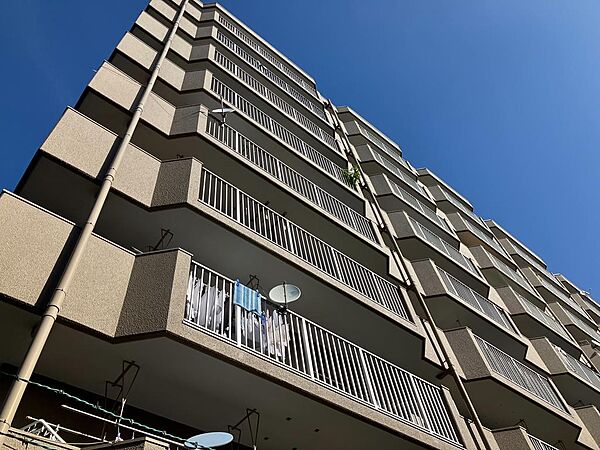 外観：327002344378
