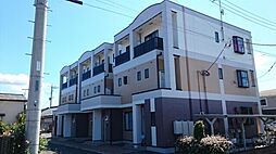 ノースチェスナット