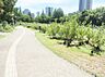 周辺：靱公園（910m）