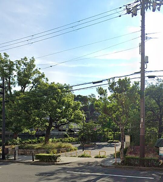 生玉公園（902m）