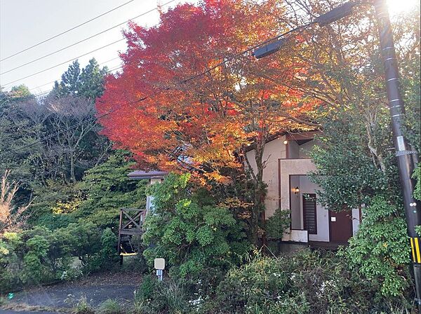 建物外観(玄関側)です。秋頃に撮影したものです。　　　　