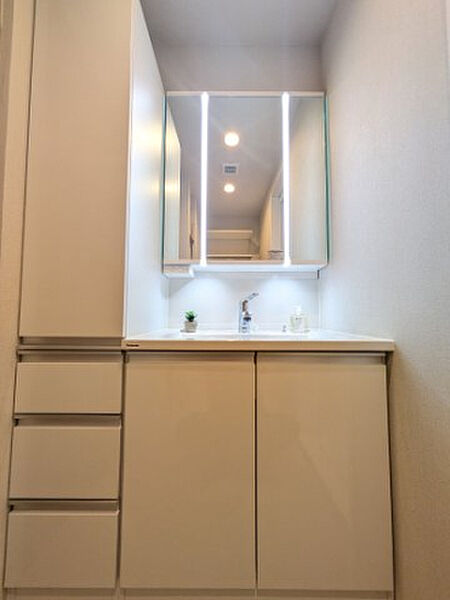 ホテルライクでスタイリッシュなデザイン。デザイン性の高さと、豊富な収納力を兼ね備えた、自慢のパウダールームです。