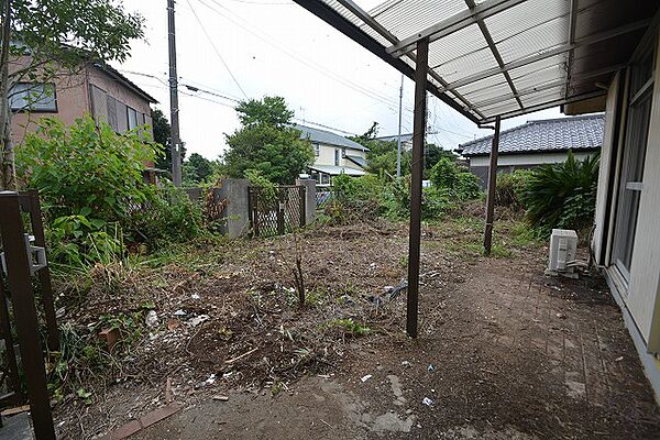 庭