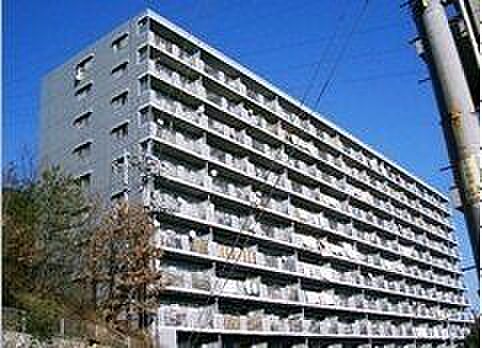 外観：334000236739