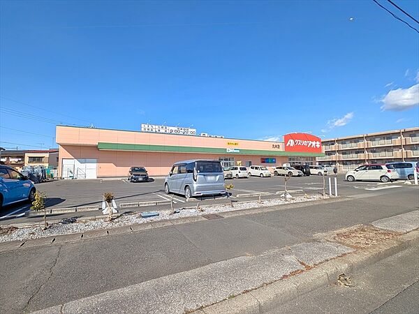 ドラッグストア 350m クスリのアオキ丸林店