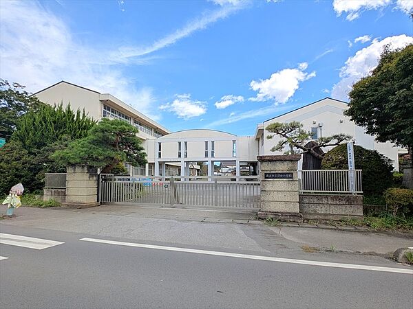 小学校 1000m 津田小学校