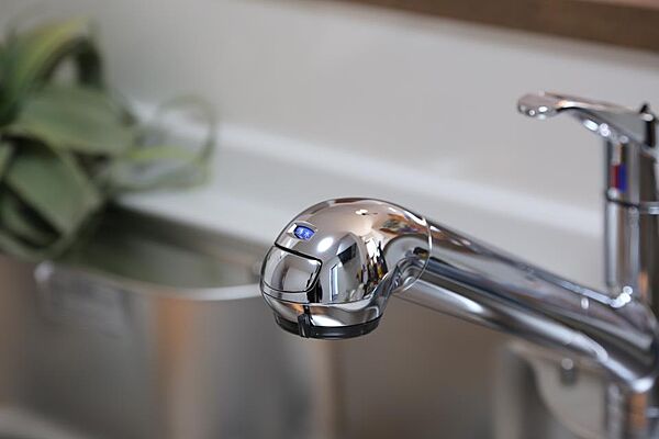 食器や野菜などの水洗いがスムーズにこなせる浄水器一体型の便利な設備です。（2025年2月撮影）