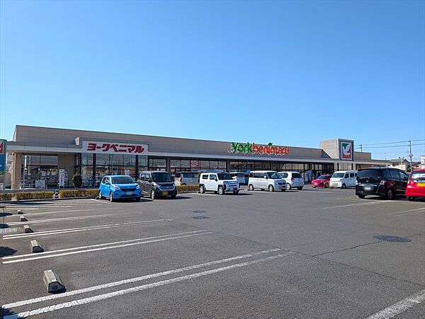 スーパー 750m ヨークベニマル針ヶ谷店(《営業時間 9:30～22:00》)