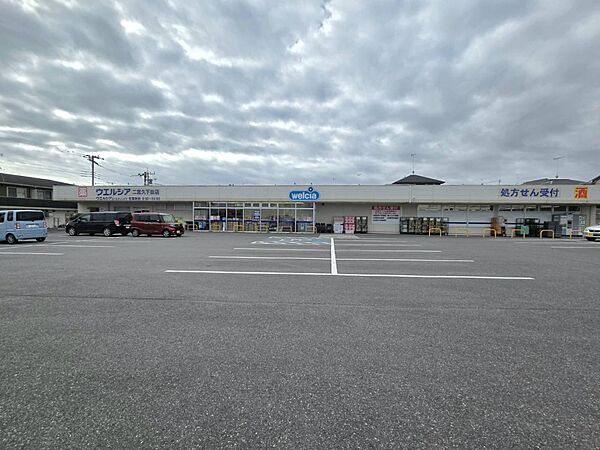 ドラッグストア 700m ウエルシア二宮久下田店